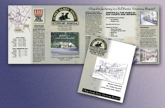   Veterinary Clinic Brochure  