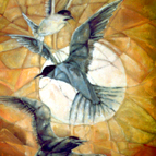 Art and Images for Sale