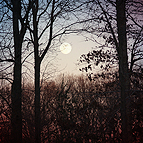 Photography by Shelden Studios